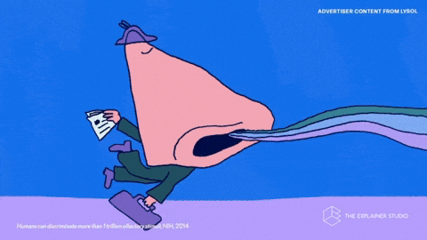 GIF by The Explainer Studio