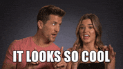 CNBCsocial cool jojo jordan bachelor GIF