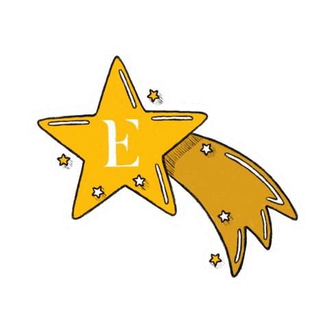 EdgardOpticiens star xmas stars noel Sticker