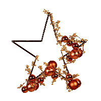 Christmas Star Sticker by Beekwilder