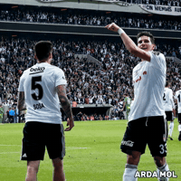 Ardamol GIF