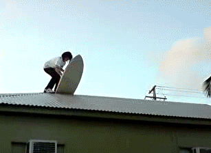 surfing fail GIF