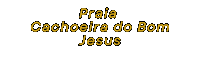Beach Praias Sticker by GIFS DA CRIS