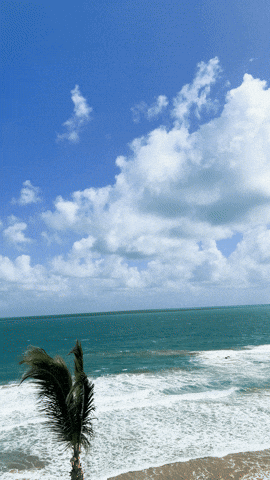 Puerto Rico Summer GIF