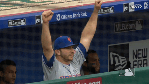 high five home run GIF by New York Mets