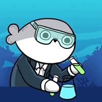 Experiment Memecoin GIF by Sacabam