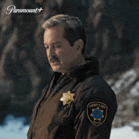 Thomas Lennon Hes Cool GIF by Paramount+