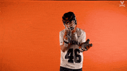 Uvamenslax GIF by Virginia Athletics