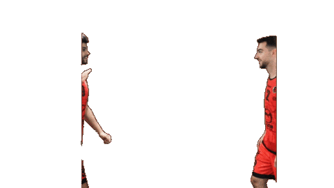 Handball Dragon Sticker by HCCA