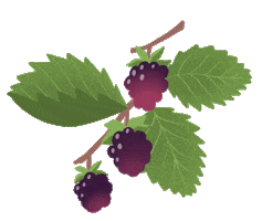 Fall Fruit Sticker by molehill