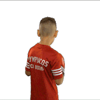 Sport Kickboxing Sticker by OlympiacosSFP