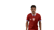 Hide Ceskarepre Sticker by 2score