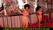 GIF by LINDSEY L33