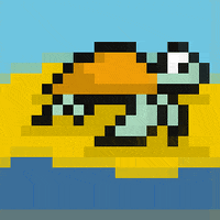 Turtle Aloha GIF by Jaguar Network