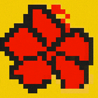 Jaguar_Network flower aloha fleur jaguar network GIF