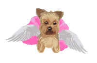 Yorkie Sticker
