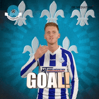 Voetbalvereniging_Scherpenzeel goal win score voetbal GIF