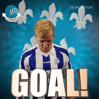 Voetbalvereniging_Scherpenzeel voetbal bal blauwwit hoofdklasse GIF