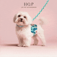Hgp Pet Accessories GIF by Happy Go Puppy Luxury Pet Accessories