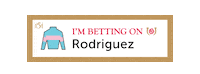 Horse Racing Sticker by Kentucky Derby