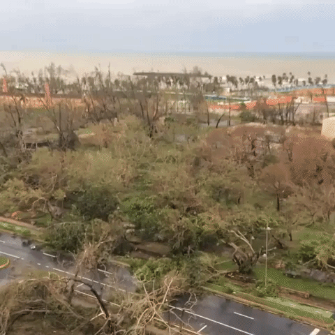 View Over San Juan Bay Shows Hurricane Maria Damage