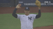 Celebrate New York Yankees GIF by MLB