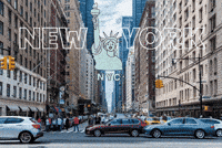New York Usa GIF by MockoFun