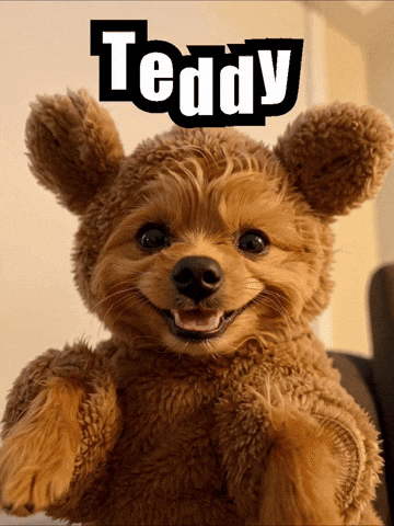 Dogs Pets GIF by impactcollision