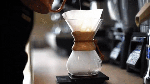 coffeequotesstore giphygifmaker coffee GIF