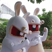 lapin GIF