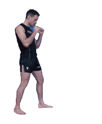 lesakfightteam mma muaythai k1 lesak Sticker