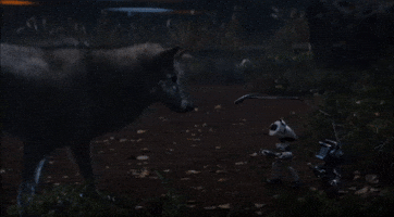 Cammy and Mike Meet a Wolf