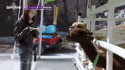 Giselle GIF