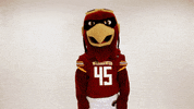 Ace Ulm GIF by University of Louisiana Monroe