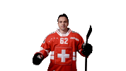 Celebrate National Team Sticker by Swiss Ice Hockey