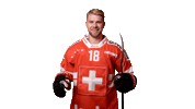 Celebrate National Team Sticker by Swiss Ice Hockey