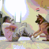 partner GIF