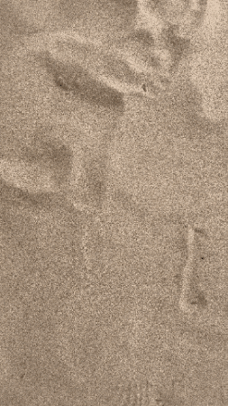 LeDanJohnson giphygifmaker GIF