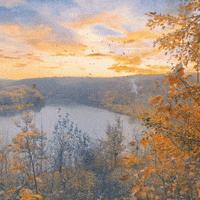 virtart_gallery nature bird sunset park GIF
