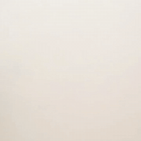 AlyssaSpatola art cute animation animals GIF