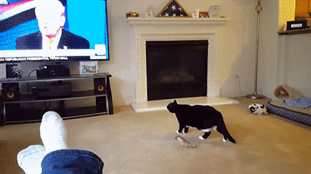GIF by Demic