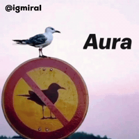 Igmiral GIF