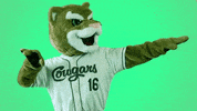 hotline bling dancing GIF by Kane County Cougars
