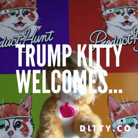 trumpkitty GIF by Product Hunt