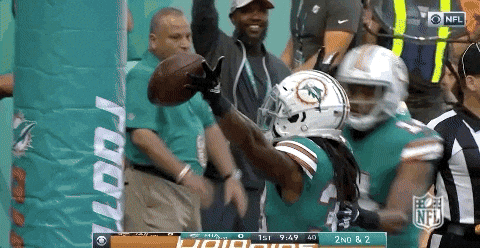 2018 Nfl Football GIF by NFL