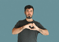 New Zealand Nz GIF by NZVISTO