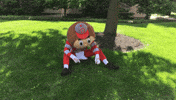 Ncaa Sports GIF by Ohio State Athletics
