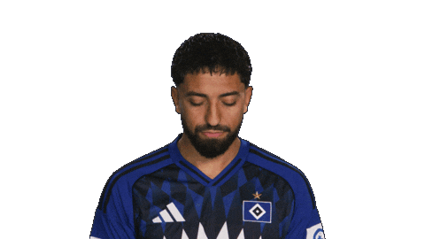 Look Up Hamburger Sv Sticker by Bundesliga