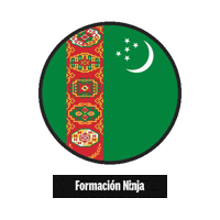 Turkmenistan Flag Sticker by Formación Ninja