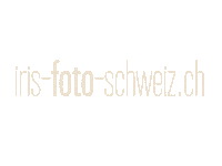 IrisFotoSchweiz text photography spinning switzerland Sticker